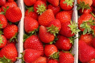 Beaucoup de fruits ont souffert du temps humide de cette année, en particulier les fraises. (Photo d'archives) KEYSTONE/DPA/PATRICK PLEUL